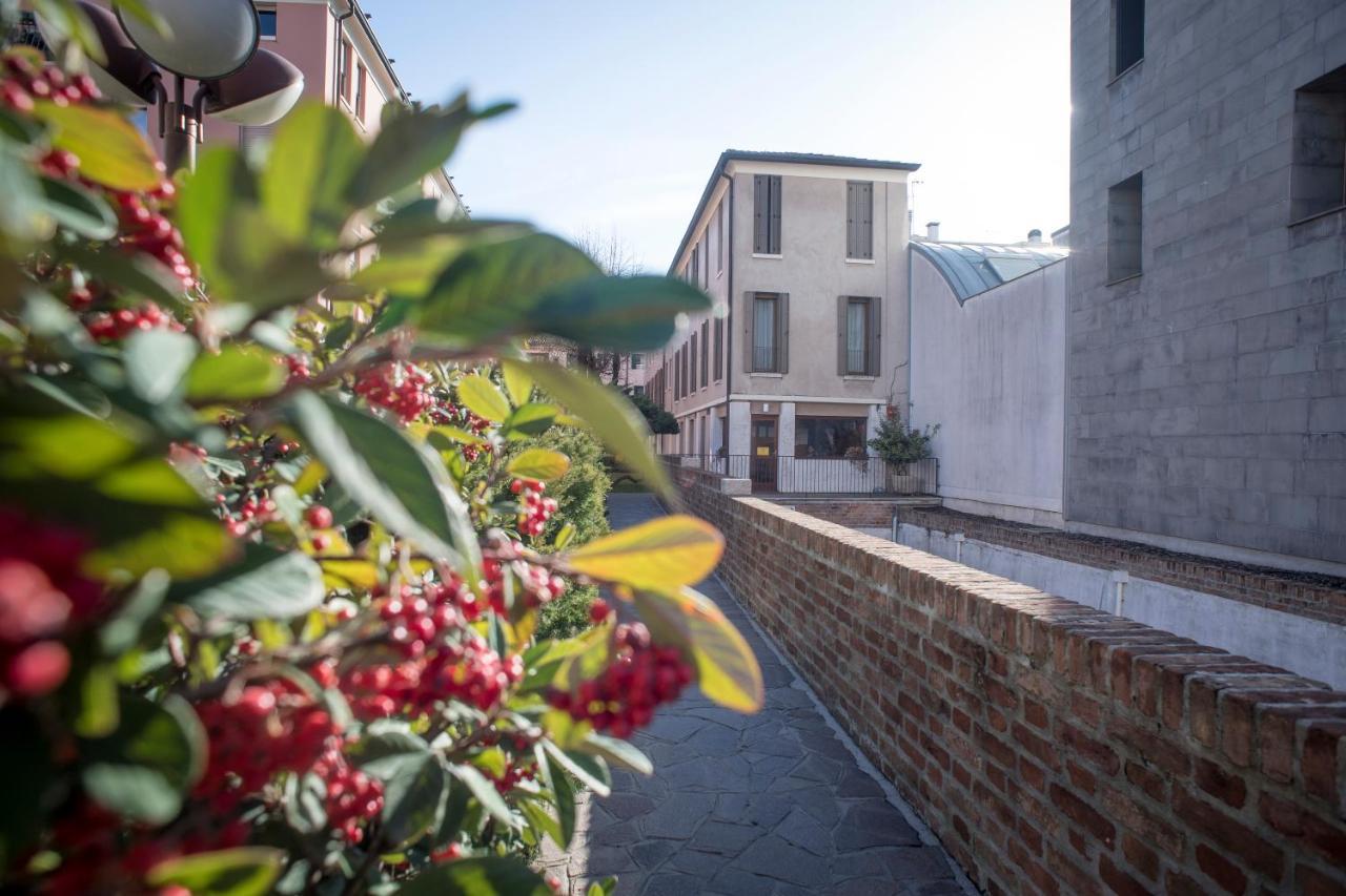 San Francesco Charming Apartment -Treviso Exterior photo